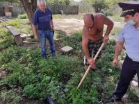 Информация о проведении мероприятий по выявлению и уничтожению дикорастущих наркосодержащих растений в период проведения 1-го и 2-го этапа операции «Мак-2020»