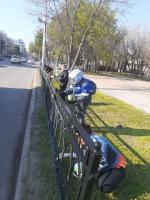 В парке Знаний высадили деревья