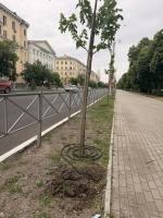 Администрация Астрахани приступила к  масштабной модернизации и ремонту поливочных систем