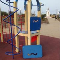 Вандалы похитили цветы с городских клумб