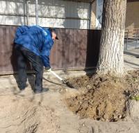 Астраханский городской архив начал весеннюю уборку