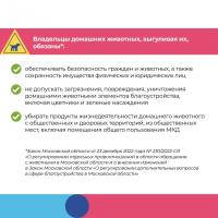 Есть простые правила, которые с большой вероятностью обезопасят Вашего ребенка от конфликта с чужой собакой