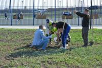 Новый сквер «Антикормаш» стал зеленее