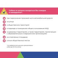 Есть простые правила, которые с большой вероятностью обезопасят Вашего ребенка от конфликта с чужой собакой