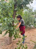 В Астрахани зачистили береговые зоны водоемов