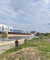 В Астрахани продолжаются работы по скосу сорной растительности