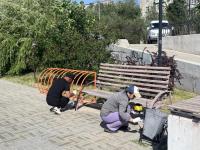 В парках и скверах города сегодня красили скамейки