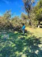 В Астрахани приступили к скосу сорной растительности