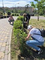 В парках и скверах города сегодня красили скамейки