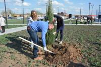 Новый сквер «Антикормаш» стал зеленее