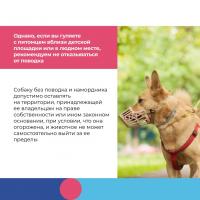 Есть простые правила, которые с большой вероятностью обезопасят Вашего ребенка от конфликта с чужой собакой