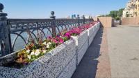 В Астрахани продолжается высадка цветов в парках и скверах