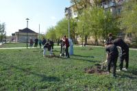 Новый сквер «Антикормаш» стал зеленее