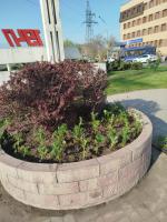 В Астрахани красят памятник «Журавли»