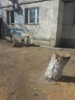 ул.8-я Железнодорожная,55