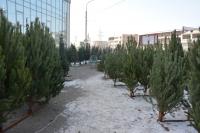 В парке «Аркадия» устанавливают главную городскую ёлку