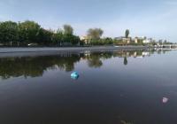 В Астрахани из городских каналов достали катамаран и холодильник