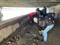 В Астрахани стартовали Дни чистоты