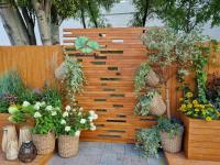 В Астрахани прошел Фестиваль цветов