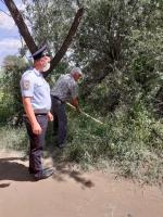 Информация о проведении мероприятий по выявлению и уничтожению дикорастущих наркосодержащих растений в период проведения 1-го и 2-го этапа операции «Мак-2020»