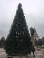 В Астрахани устанавливают новогодние елки