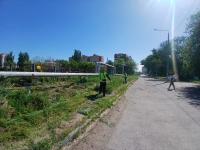 С начала года в Астрахани скосили свыше полутора миллионов квадратных метров сорной растительности