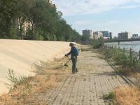 В Астрахани наводят порядок на набережных 1 Мая и Приволжского затона