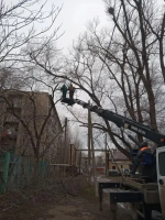 Более трехсот аварийных деревьев опилено с начала года