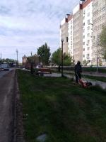 На улице Валерии Барсовой приводят в порядок аллею