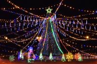 Фотогалерея