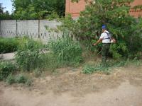 ИНФОРМАЦИЯ  о ходе проведения операции «МАК-2018» по состоянию на 1 июня 2018 года