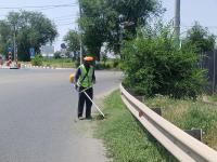 В Астрахани скосили почти 200 гектаров сорной растительности