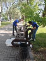 В парках и скверах города сегодня красили скамейки