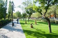 Фотогалерея