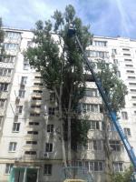 Коммунальным отделом администрации Ленинского района в период с 04.07.2016 по 08.07.2016 в рамках имеющихся полномочий организованы мероприятия по скосу сорной растительности и опиловке деревьев.