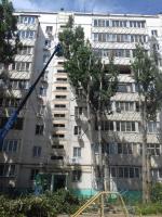 Коммунальным отделом администрации Ленинского района в период с 04.07.2016 по 08.07.2016 в рамках имеющихся полномочий организованы мероприятия по скосу сорной растительности и опиловке деревьев.