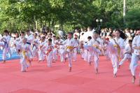 Видео, распространяемое о парке «Аркадия» не является объективным