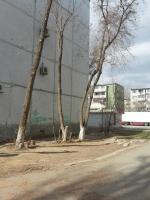 ул. Б.Алексеева, 4