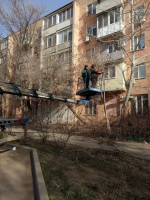 Более трехсот аварийных деревьев опилено с начала года