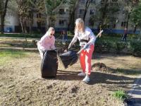 На бульваре Энергетиков высадили розы