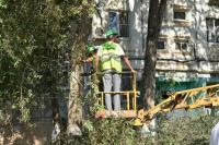 ул. Рылеева и ул. В. Барсовой