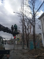 Более трехсот аварийных деревьев опилено с начала года