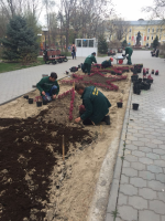 В Братском саду оформили центральную клумбу