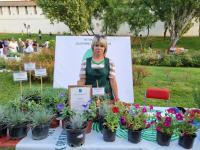 В Астрахани прошел Фестиваль цветов