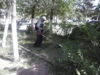 Санитарная уборка Трусовского района г. Астрахани.