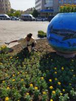 В Астрахани высадили 50 тысяч цветов