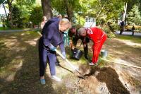 В День пожилого человека в Братском саду высадили деревья