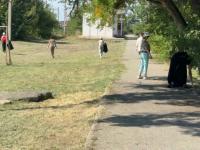 В Астрахани прошел очередной День Чистоты