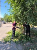 В Астрахани прошел очередной День Чистоты