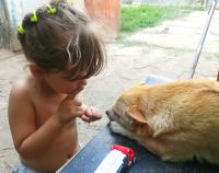 Детство и верность